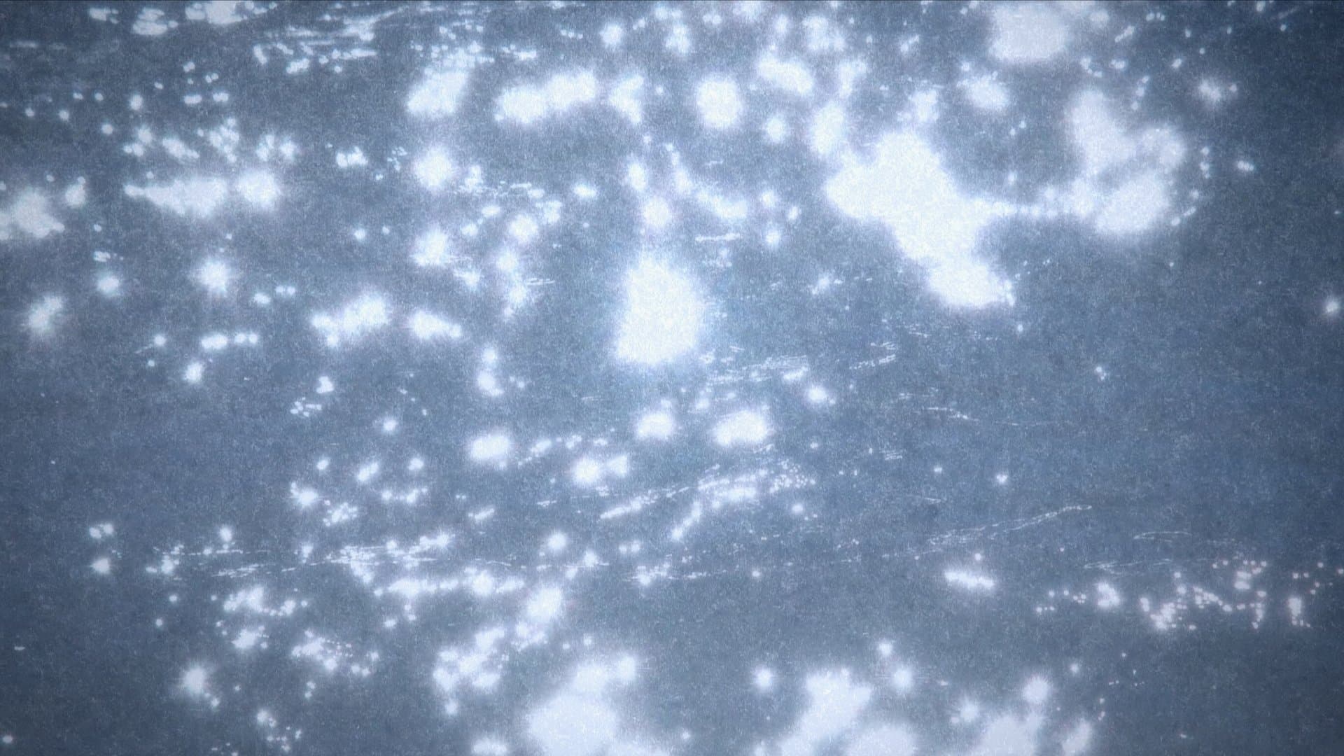 Microcosmos